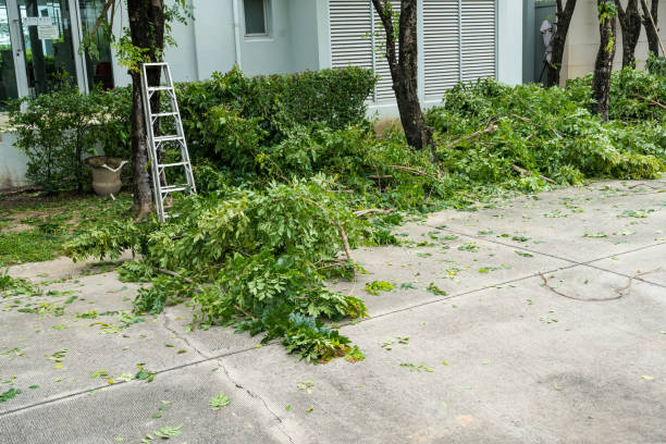 Best Pest Control for Lawns  in Greencastle, IN