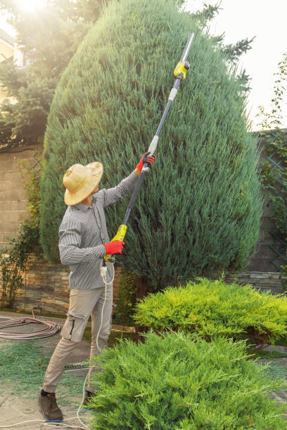 Best Hazardous Tree Removal  in Greencastle, IN